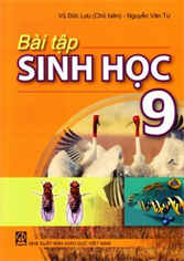 Bài tập Sinh học lớp 9