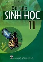 Bài tập Sinh học 11