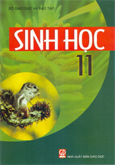 Sinh học 11
