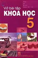 Vở bài tập Khoa học lớp 5